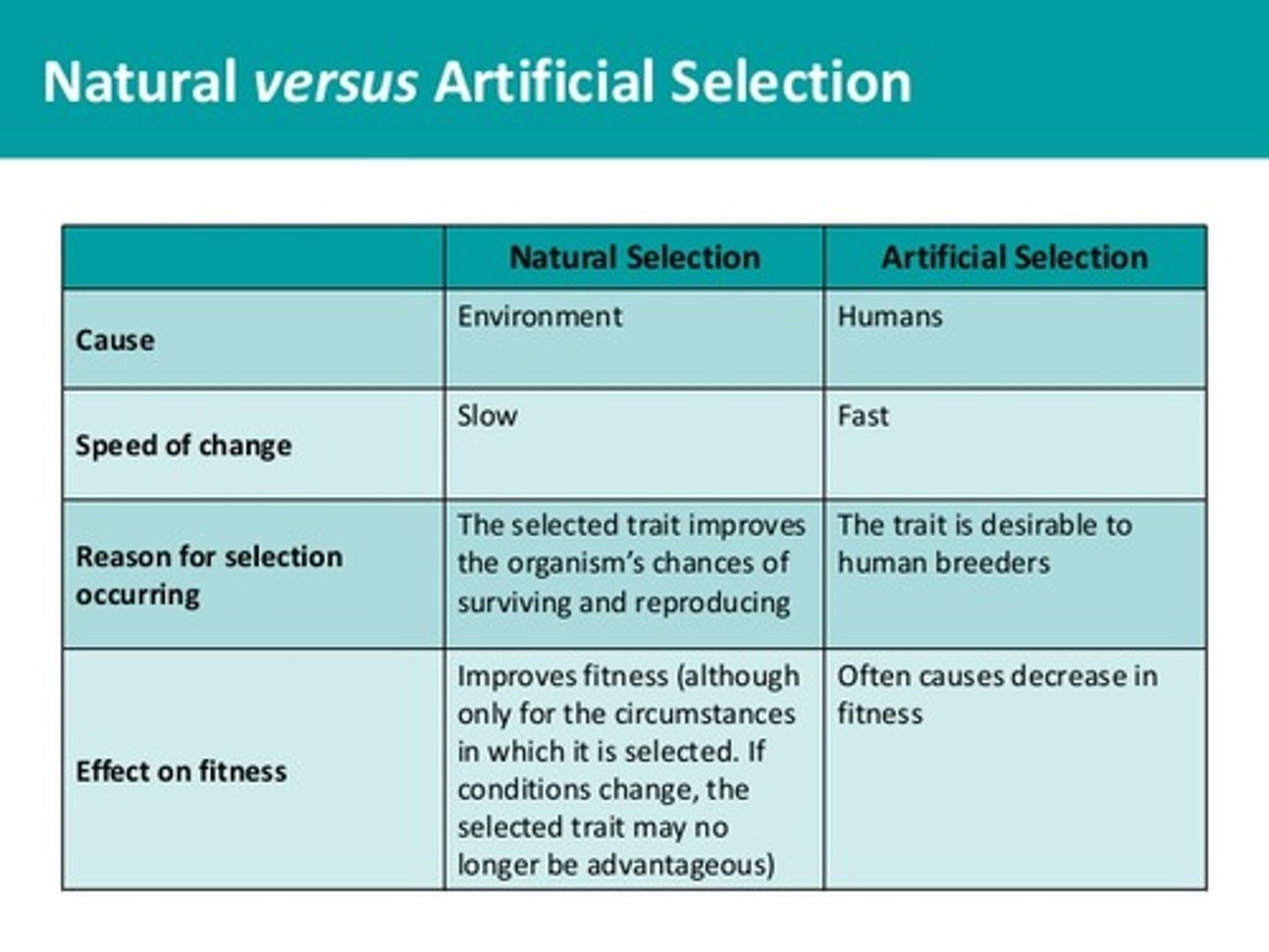 <p>Artificial selection:</p><p>-selection due to human influences</p><p>-produces organisms different form native generations</p><p>-does not result in new species</p><p>-Inbreeding causes loss of vigor</p><p>-Fast</p><p>-Proportion of heterozygous individuals is reduced</p><p>Natural selection:</p><p>-Selection due to enviromental factors</p><p>-Produces greater biodiversity</p><p>-May lead to new species</p><p>-Outbreeding is common leading to hybrid vigor</p><p>-Slow process</p><p>-Proportion of heterozygous individuals remains high</p>