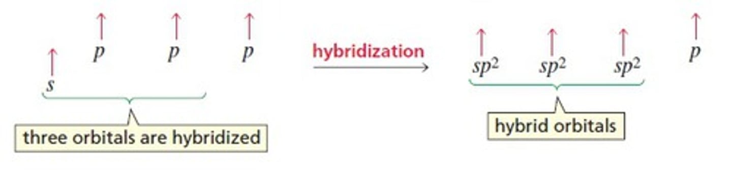 <p>1. Trigonal planar structure</p><p>2. sp2 hybridization creates 3 identical orbitals of intermediate energy and length and leaves one unhybridized p orbital</p><p>3. 3 effective pairs of electrons surround the carbon (double bond treated</p><p>as one effective pair)</p>