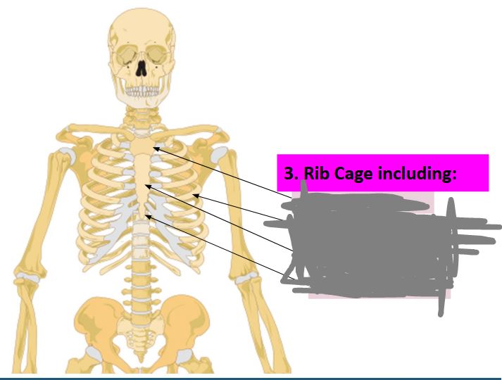 <p>Label this image… (top to bottom)</p>