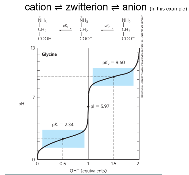<p>Cation—-Zwitterion—-Anion</p>