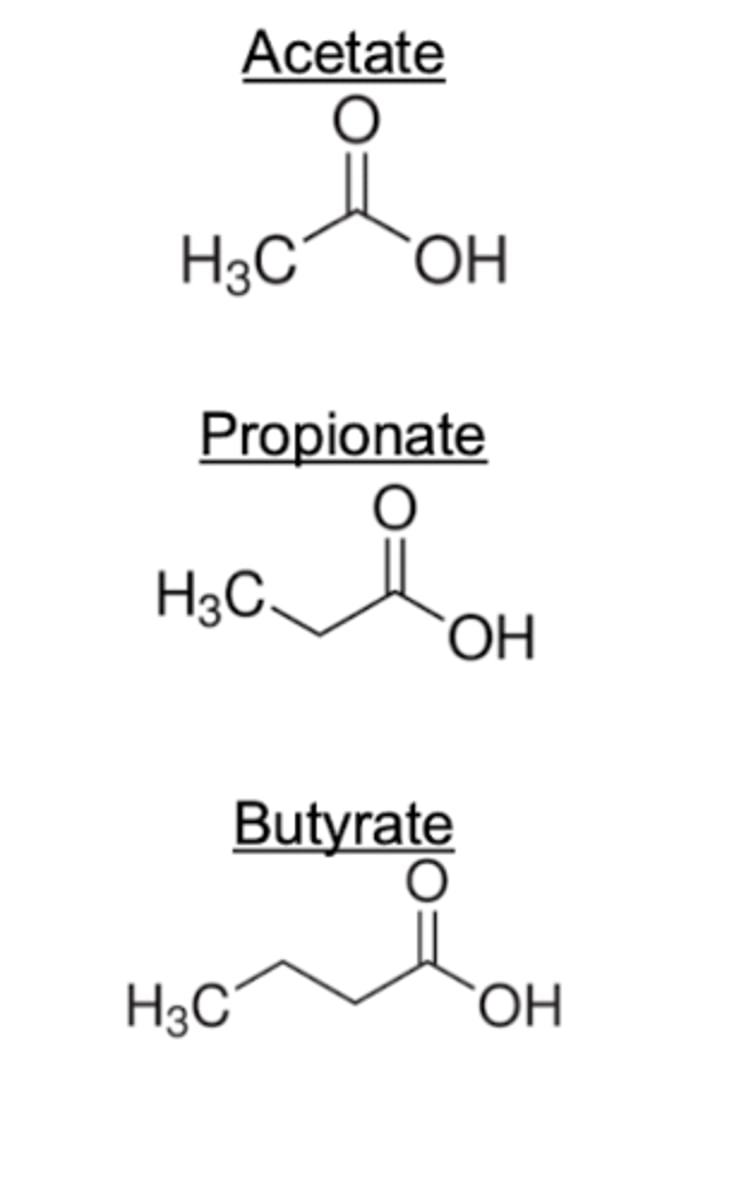<p>VFA from rumen are short carbon molecules. These go to the blood, and then the mammary gland to make Short Chain Fatty Acids.</p>