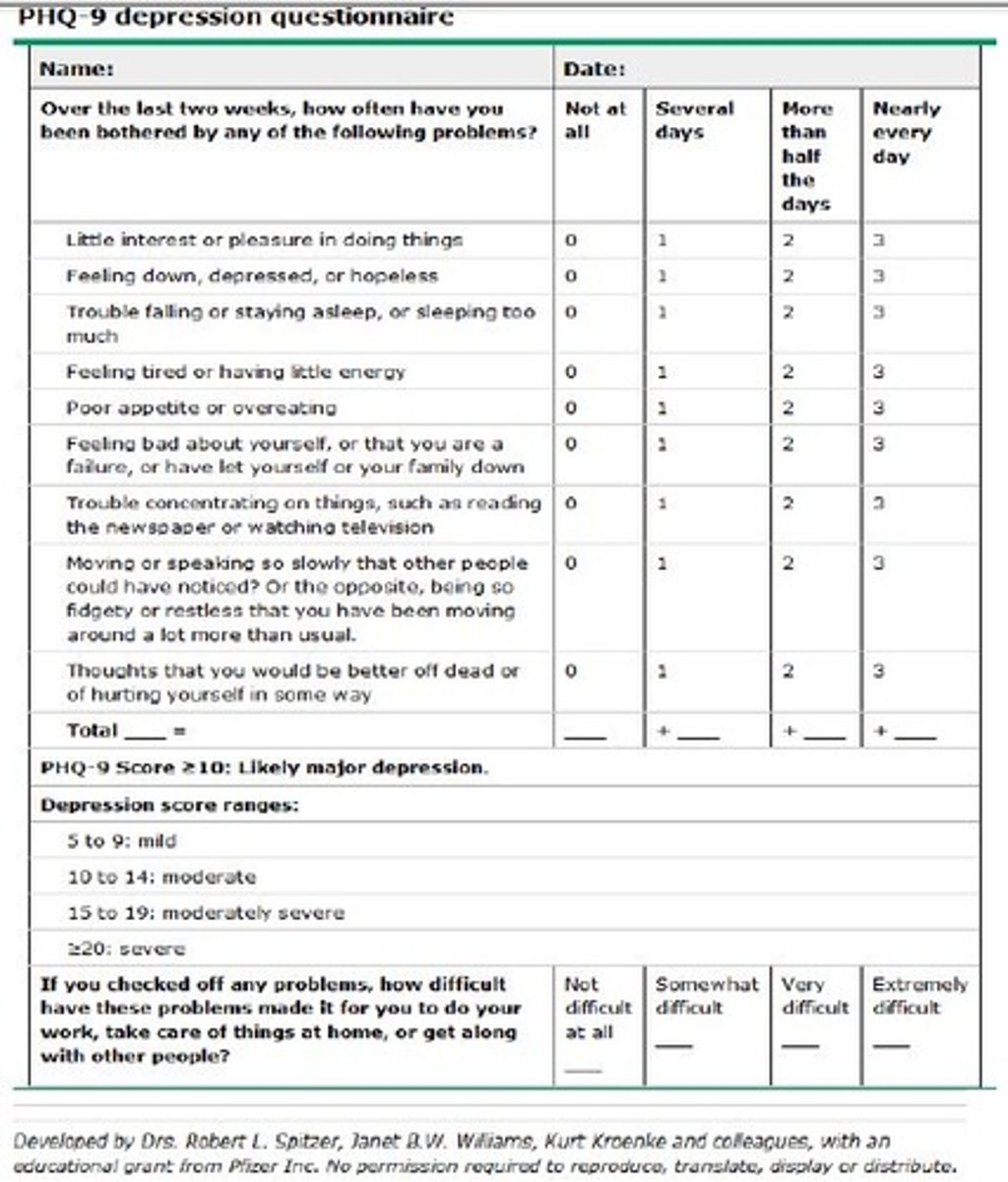 <p>assessment that evaluates degree of depression</p><p>5-9 mild</p><p>10-14 moderate</p><p>15-19 mild depression</p><p>20 + severe</p>