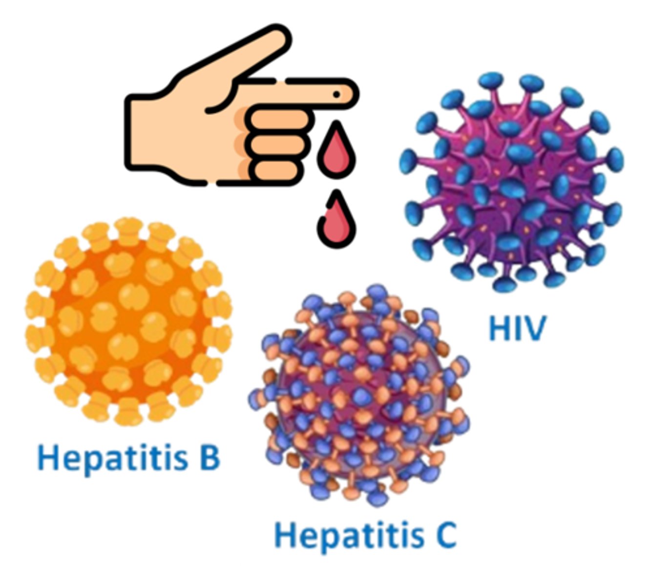 <p>an infectious microorganism that is present in human blood & can only spread through blood-to-blood contact</p>
