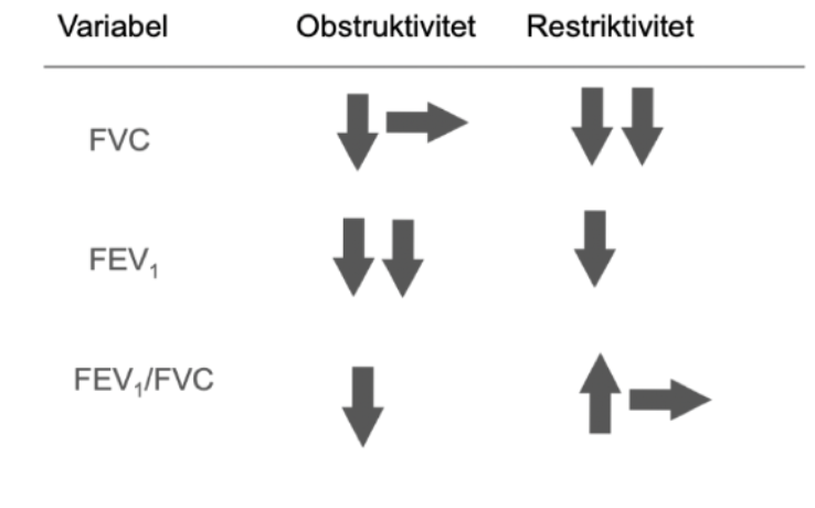 <p><span>Fibrosen kommer att försämra diffusionskapaciteten → nedsatt gasutbyte → </span><strong><span>hypoxi</span></strong><span>. Det leder inte till förhöjt pCO<sub>2</sub> → ej hyperkapné. Mängden vävnad kommer öka i lungparenkymet vilket leder till stelhet:</span></p><ul><li><p><span>Minskad TLC (även då FVC)</span></p></li><li><p><span>Ökat återfjädringstryck&nbsp;</span></p></li><li><p><span>Minskad VC men normalt eller högt FEV<sub>1</sub>/FVC</span></p></li><li><p><span>Indirekt pulmonell hypertension</span></p></li></ul>