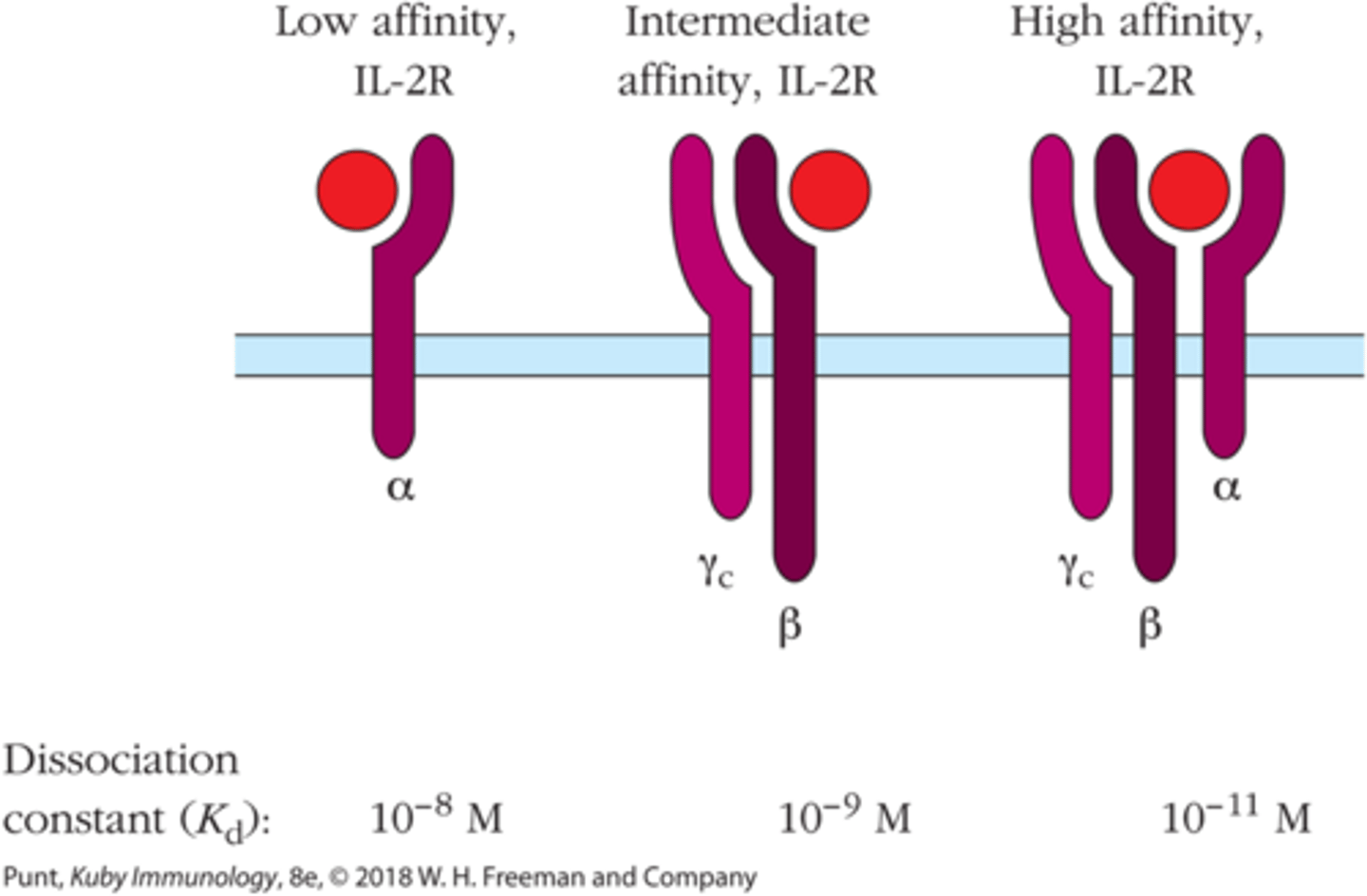 <p>low</p>