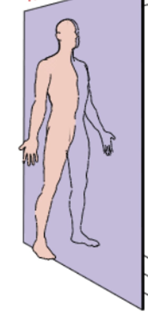 <p>vertical plane that passes through the body longitudinally, dividing it into right and left halves. it is also defined as the sagittal plane that divides the body into right and left halves</p>