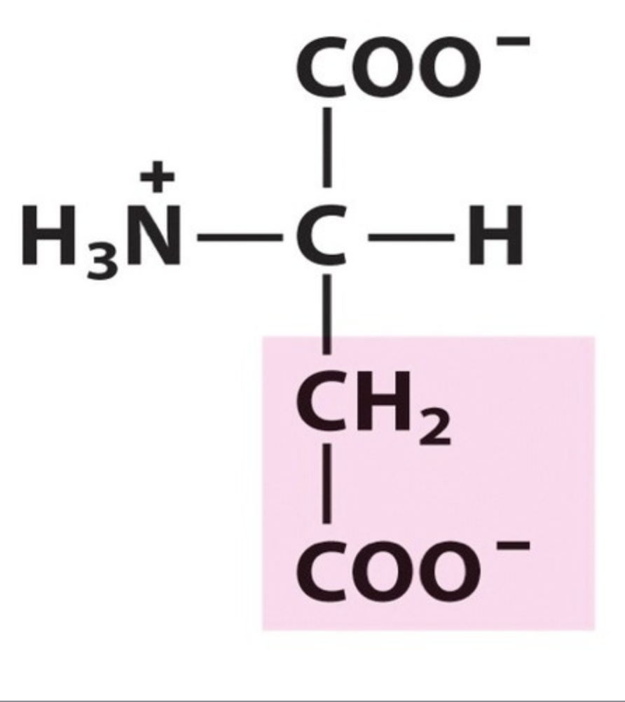 <p><span>Asp / D. pKa 3,9. Functional group -COOH. IP: 2,77. Polar, acidic.</span></p>