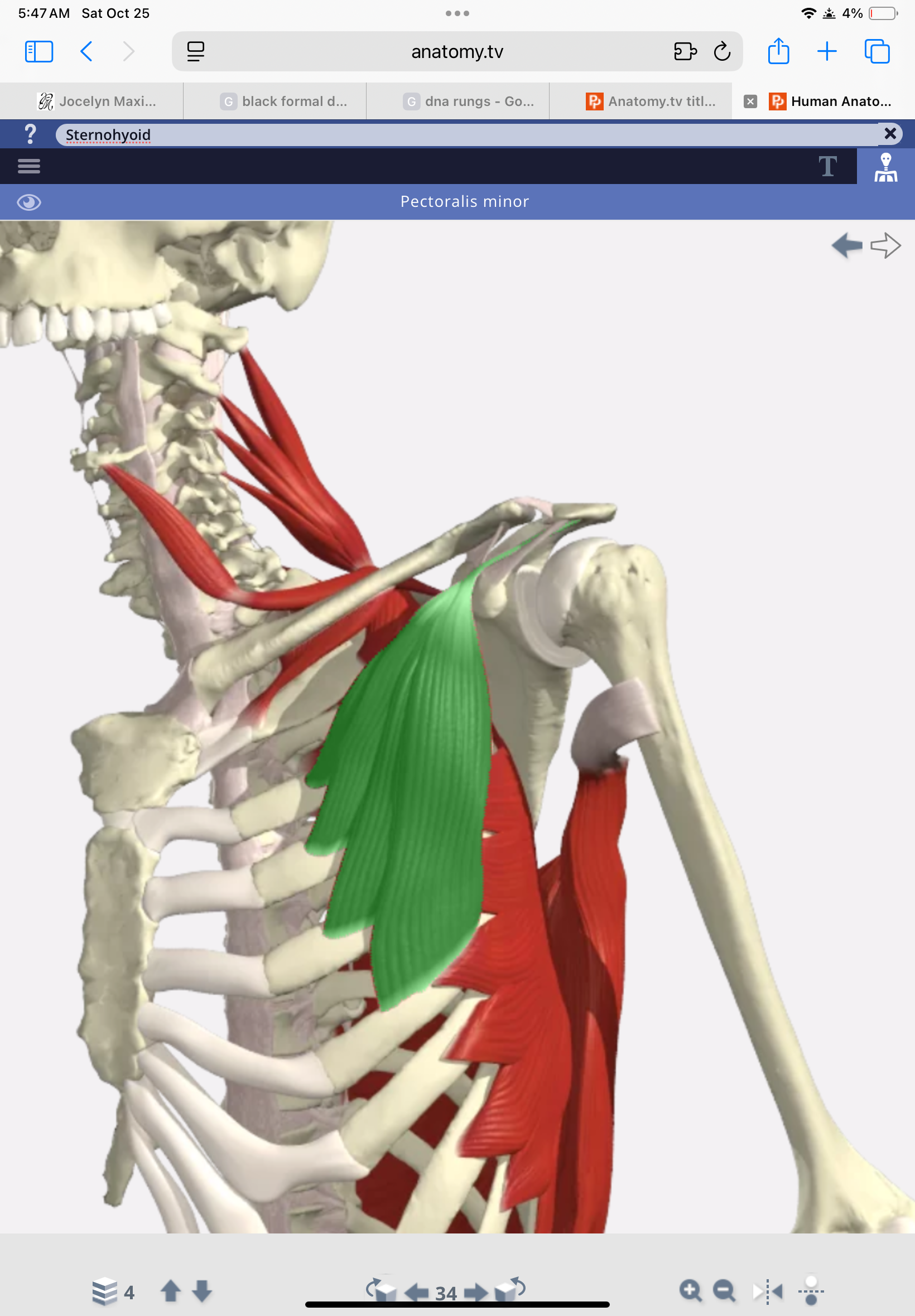 knowt flashcard image