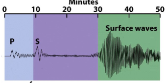 <p>Waves that travel along the earth’s surface which is detected by a seismograph</p><ul><li><p>L waves </p></li><li><p>R waves</p></li></ul><p></p>