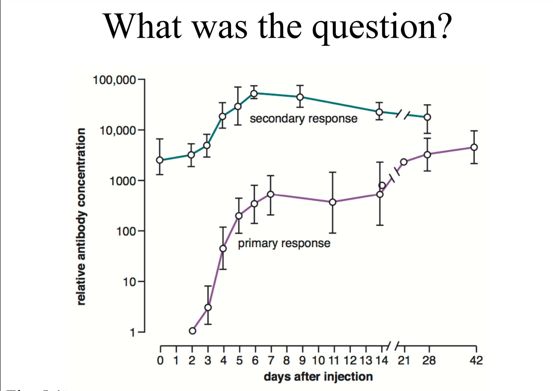 <p>What is this graph showing us </p>