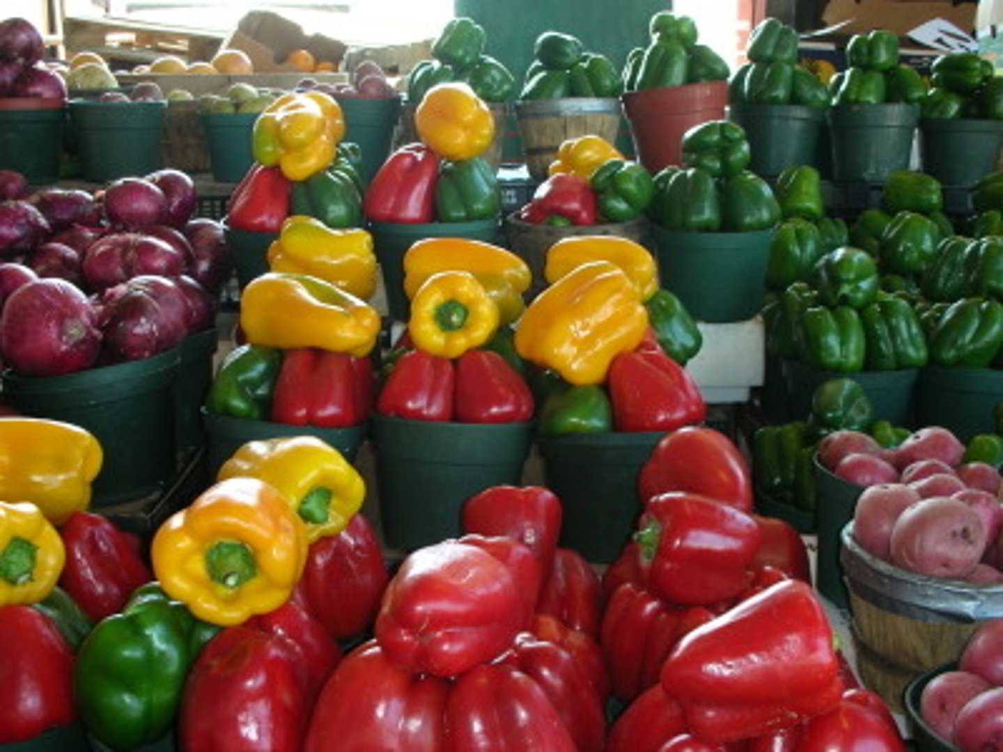 <p>a pepper</p>