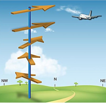 <p>The type of wind shear that can be seen in this diagram.</p>