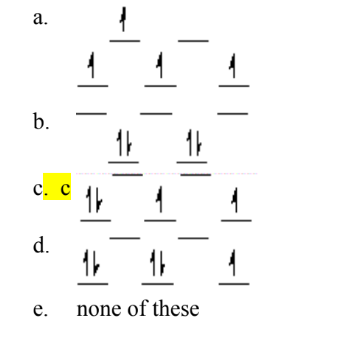 <p>C</p>