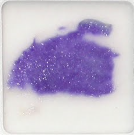 <p>Is this a positive or negative oxidase test?</p>