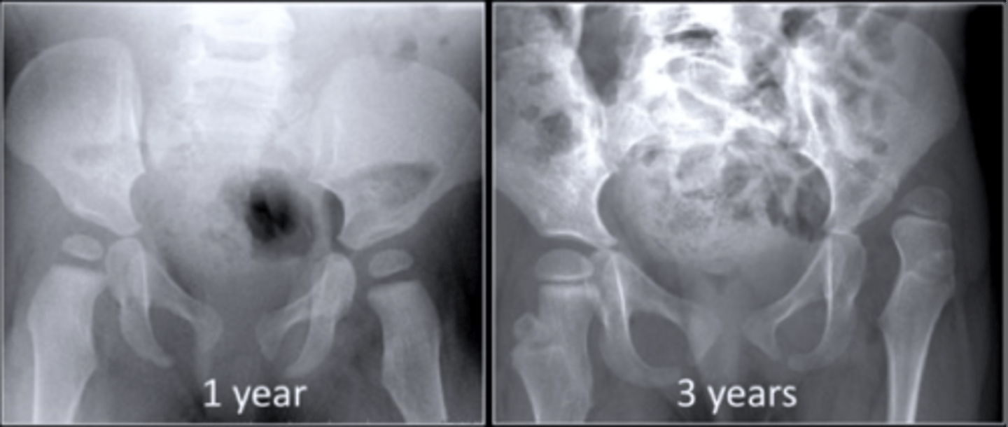 <p>Describe findings</p>