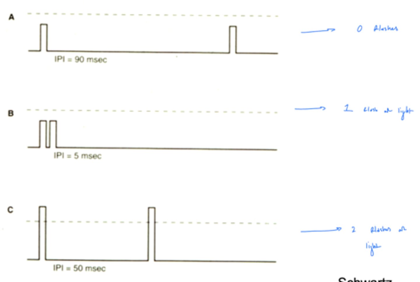 <p>rod will see one light whether or not they're above or below (have to add up above threshold) threshold</p>
