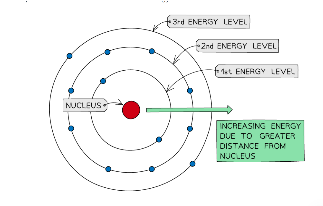 <p>He used the Nuclear Model to develop his model. He proposed that electrons orbit the nucleus at different distances called energy levels.</p>