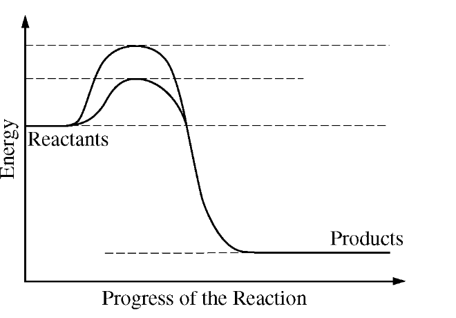 <p>The diagram below shows energy changes in a specific chemical reaction with and without the addition of an enzyme to the reaction.</p><p></p><p>Which of the following questions can best be answered by the diagram?</p>