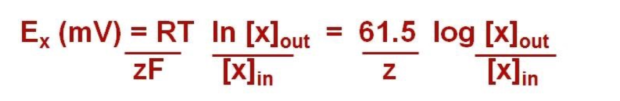 The equation to calculate equilibrium potential in each ion alone