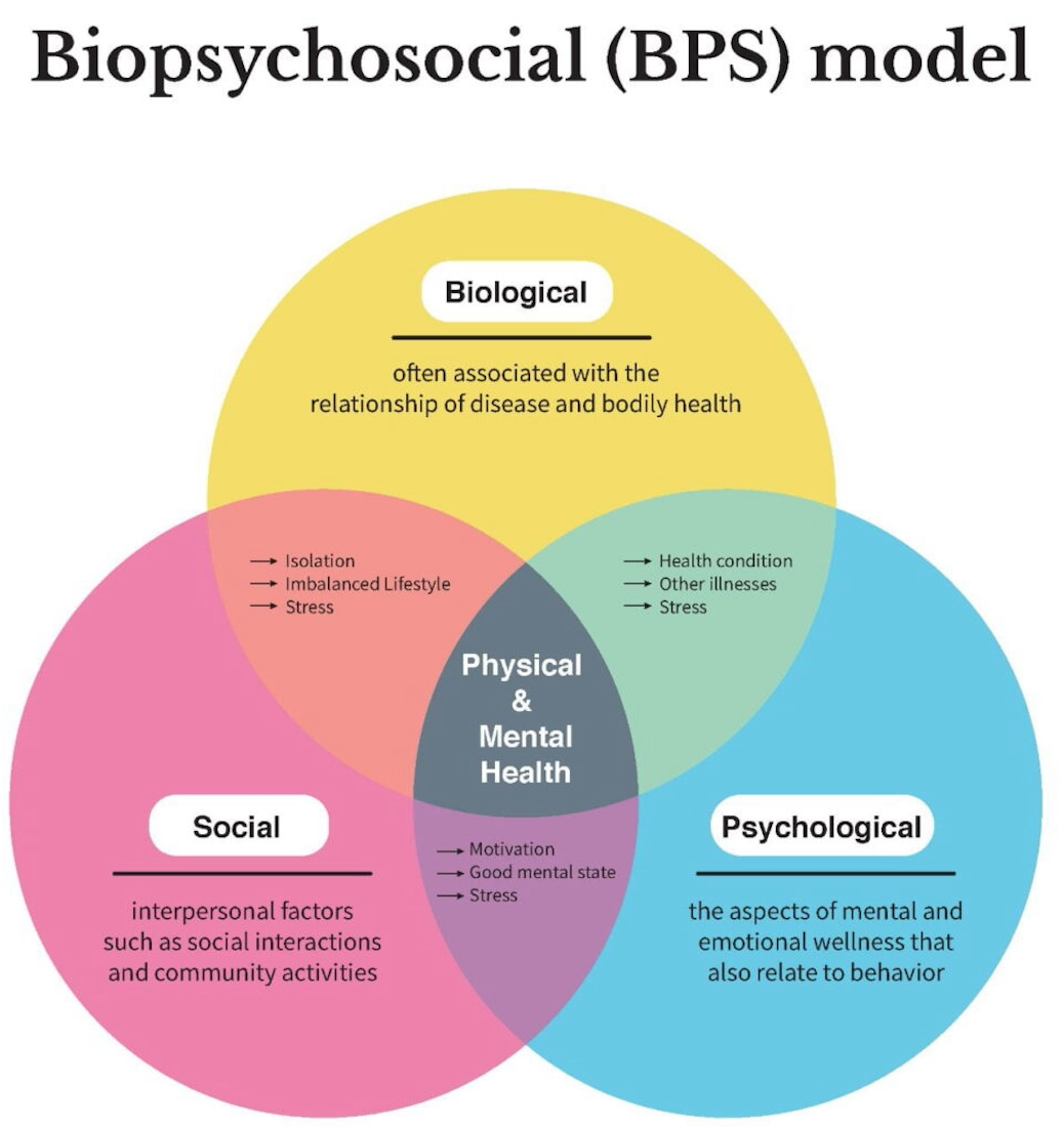 <p><span>Vad är den biopsykosociala modellen inom medicin och hälsa?</span></p>