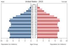 <p>Population Pyramid</p>