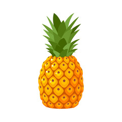 <p>Pineapple</p>