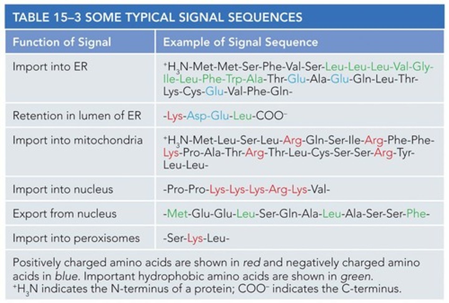 <p>Signal sequences direct proteins to the correct compartment.</p>