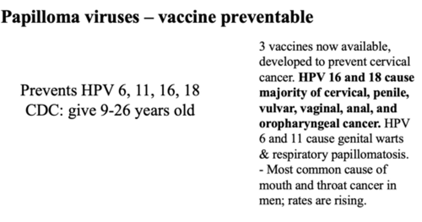 <p>HPV 16 and 18</p>