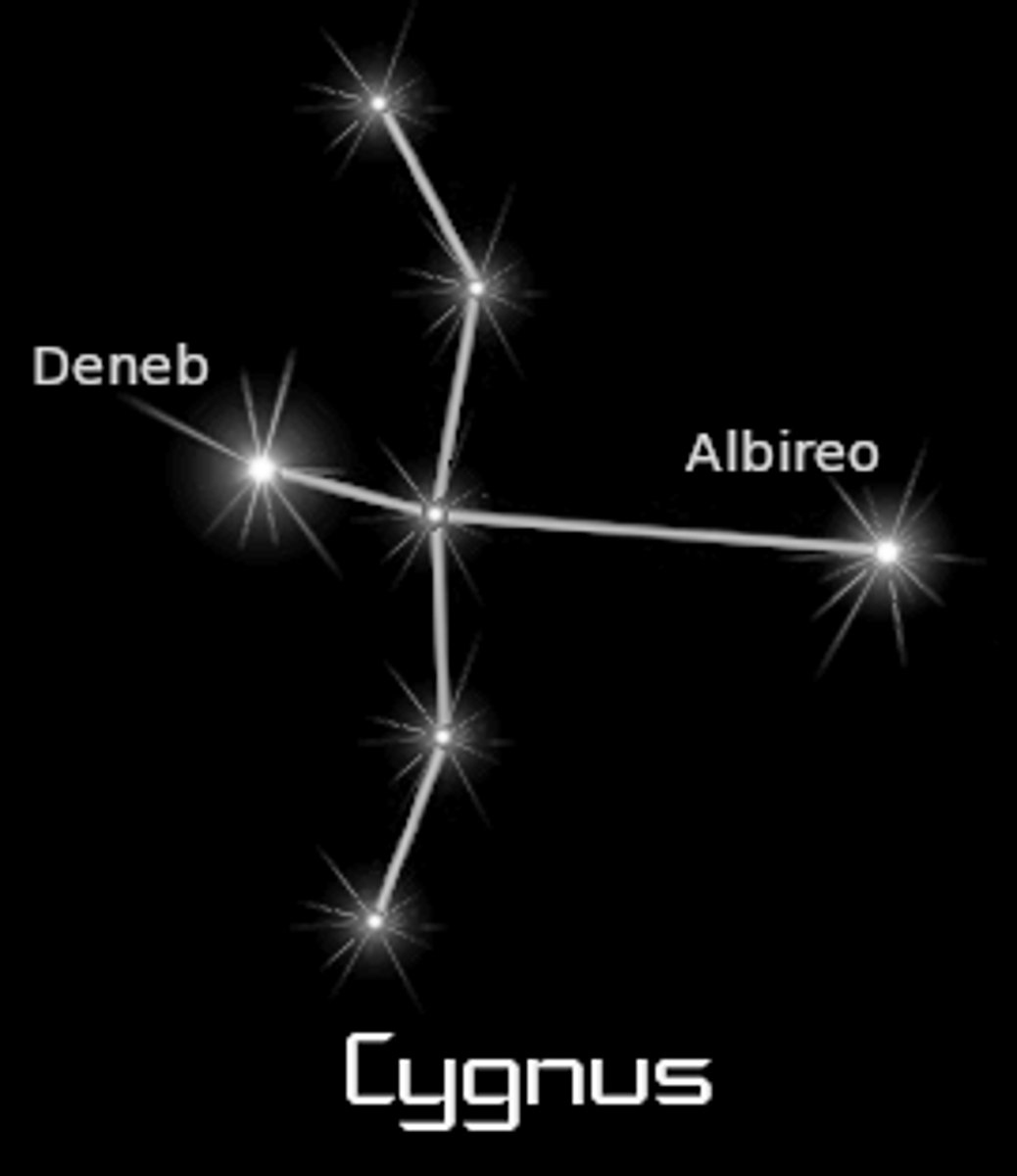 <p>swan / brightest star: Deneb or Alpha Cygni (α Cyg)</p>