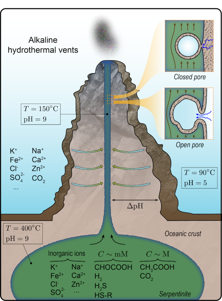 <p>Alkaline Vents</p>