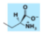 <p>What membrane lipid has this head group?</p>