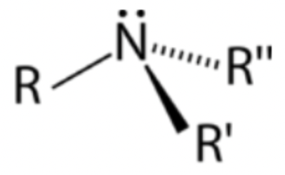 <p>Nitrogen atom bonded to three R groups</p>