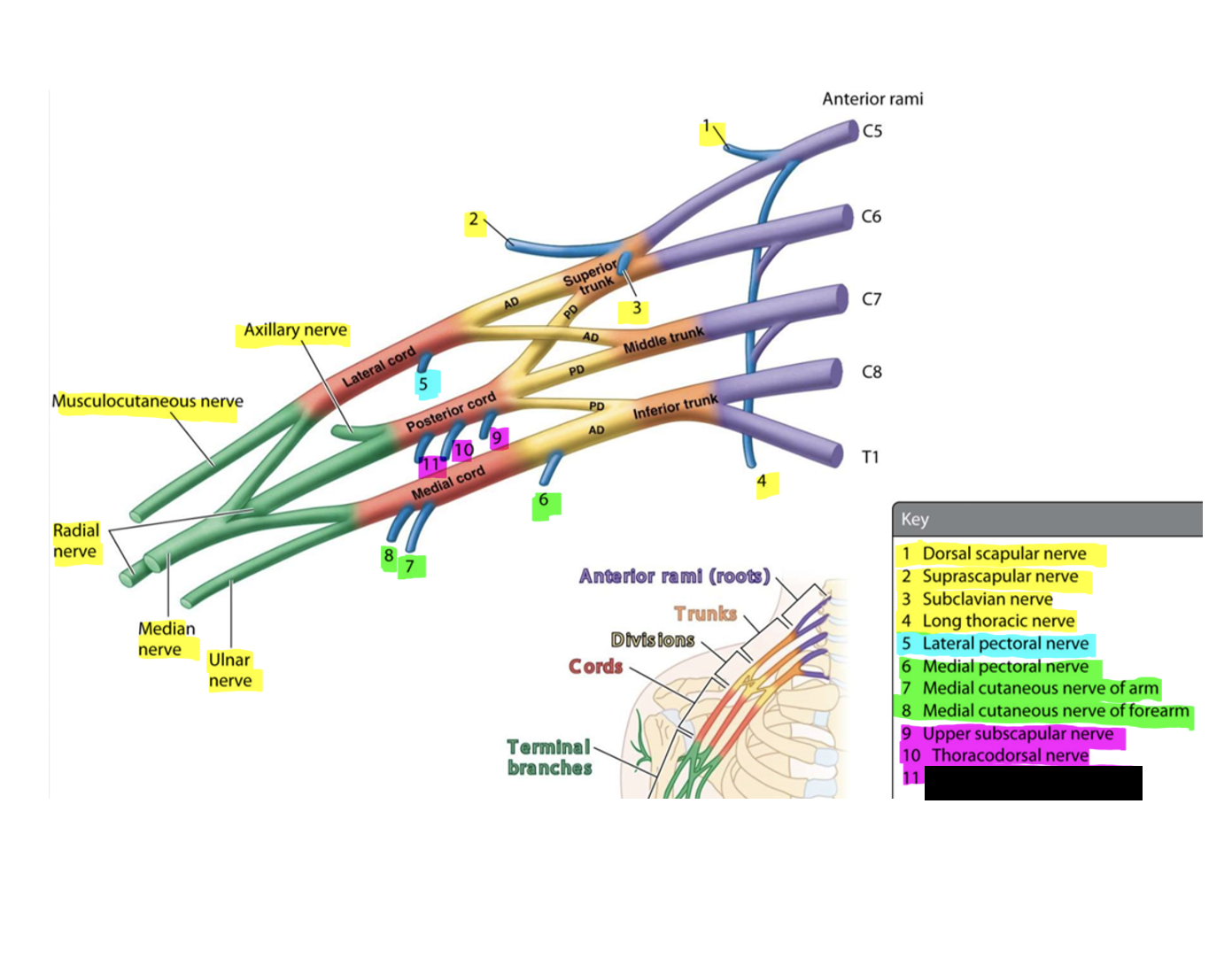 knowt flashcard image