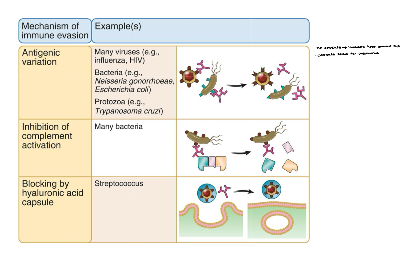 knowt flashcard image