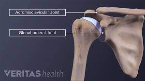 <p>articulates w/acromion. Planar joint, accomodates GH</p><p>stabilized by disc, acromioclavicular/coracoacromial/coraclavicular (conoid-med, trapezoid-lat) ligs</p>