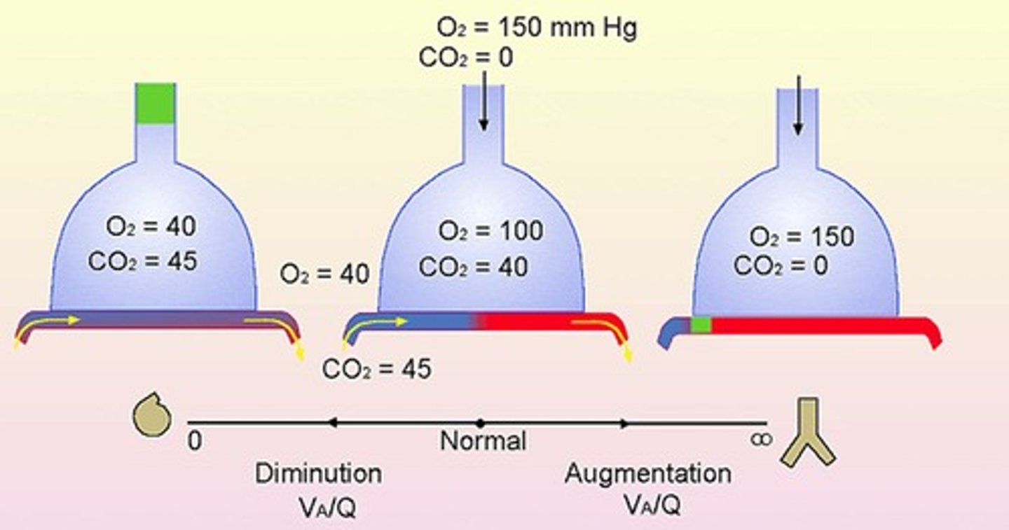 <p>Refers to the ventilation-perfusion ratio, indicating the efficiency of gas exchange in the lungs.</p>