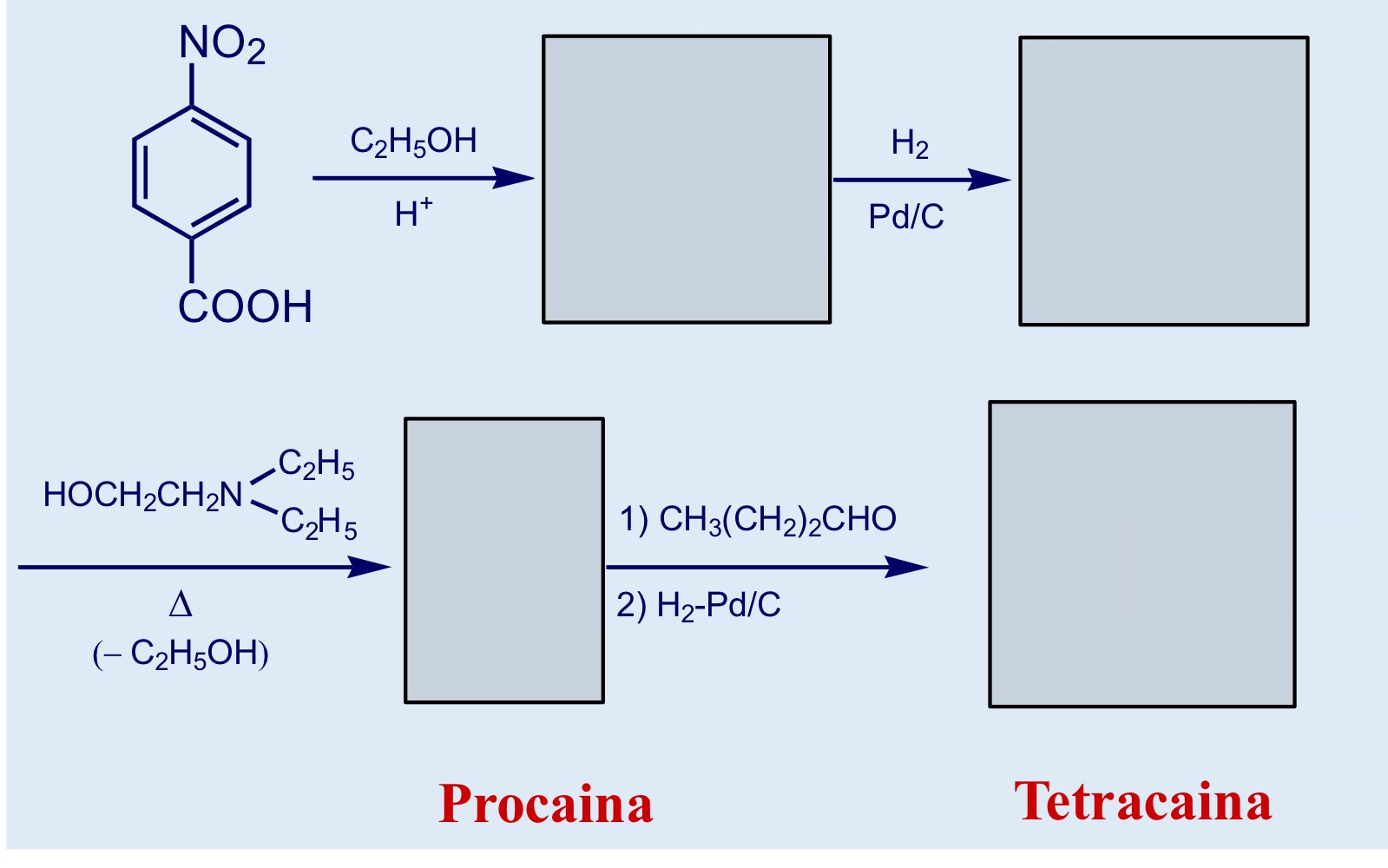 <p>Sintesi della PROCAINA</p>