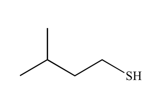 2-methylbutanethiol
