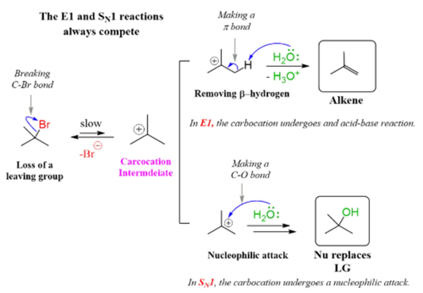 <p>Sn1 and E1. There is a carbocation intermediate that occurs once the leaving group leaves which allows for a rearrangement of a alkyl or hydrogen this leads to a more stable rearrangement of the carbocation before the nucleophile attacks.</p>