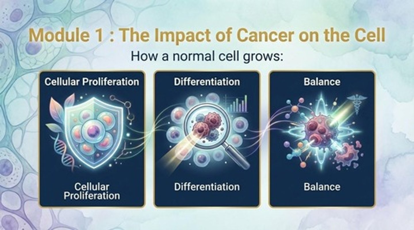 <p>The process by which cells undergo division and reproduce, increasing cell number for growth, development, and repair.</p>