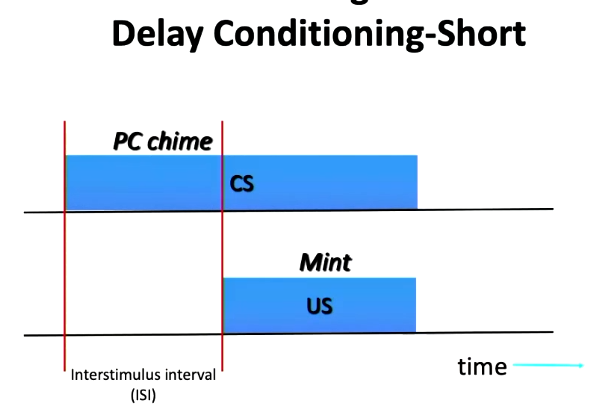 <ul><li><p>CS presented first before US joins shortly after</p><ul><li><p>e.g. Whiste plays by self first, food presented towards end of short whistling period</p></li></ul></li></ul><p></p>