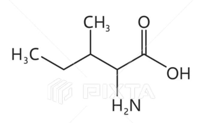 <p>What amino acid is this?</p>