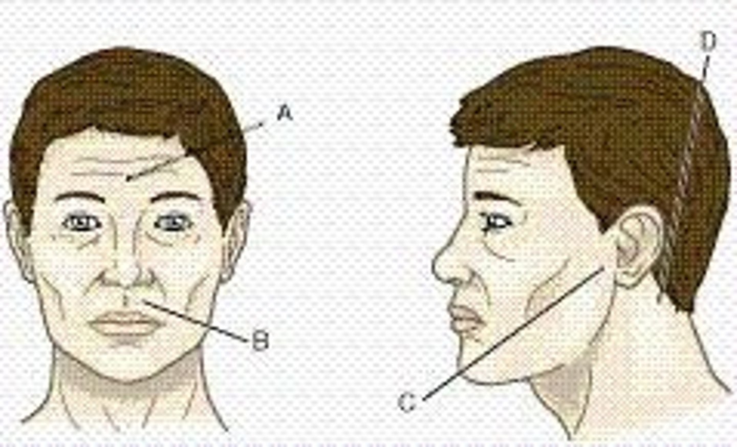 <p>Issues affecting patient's emotional or physical well-being.</p>