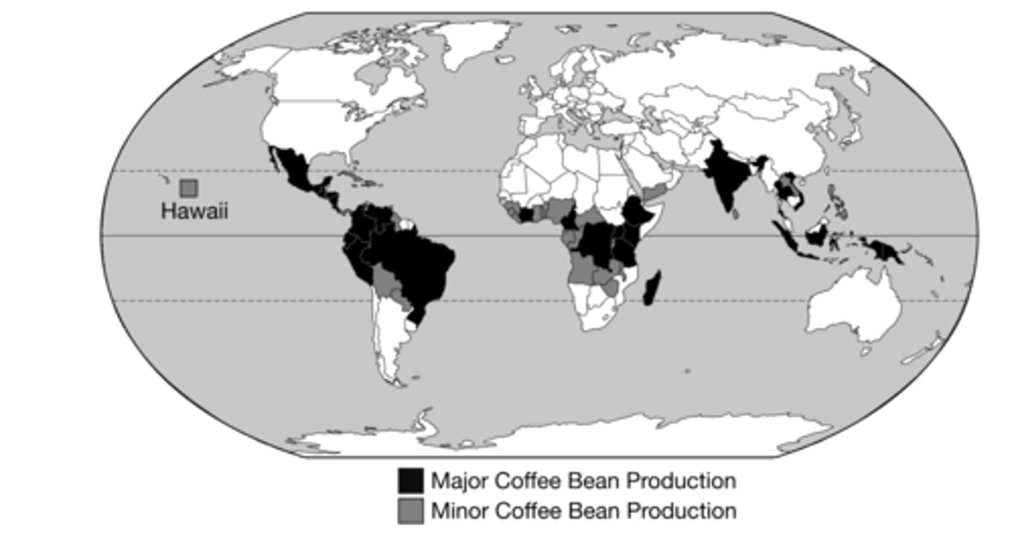 <p>The states in northern Mexico and northern India would not show any production.</p>