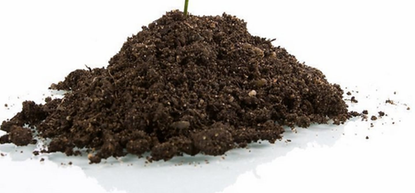 <p>(tǔ)</p><p>earth; soil; mud</p>
