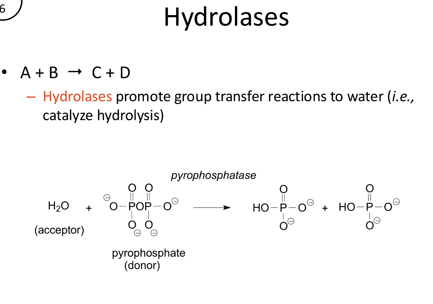 <p>Catalyze the transfer of functional groups to water, effectively promoting hydrolysis</p>