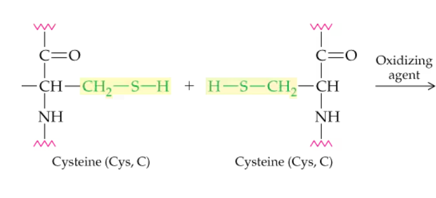 <p>What type of interaction is this?</p>