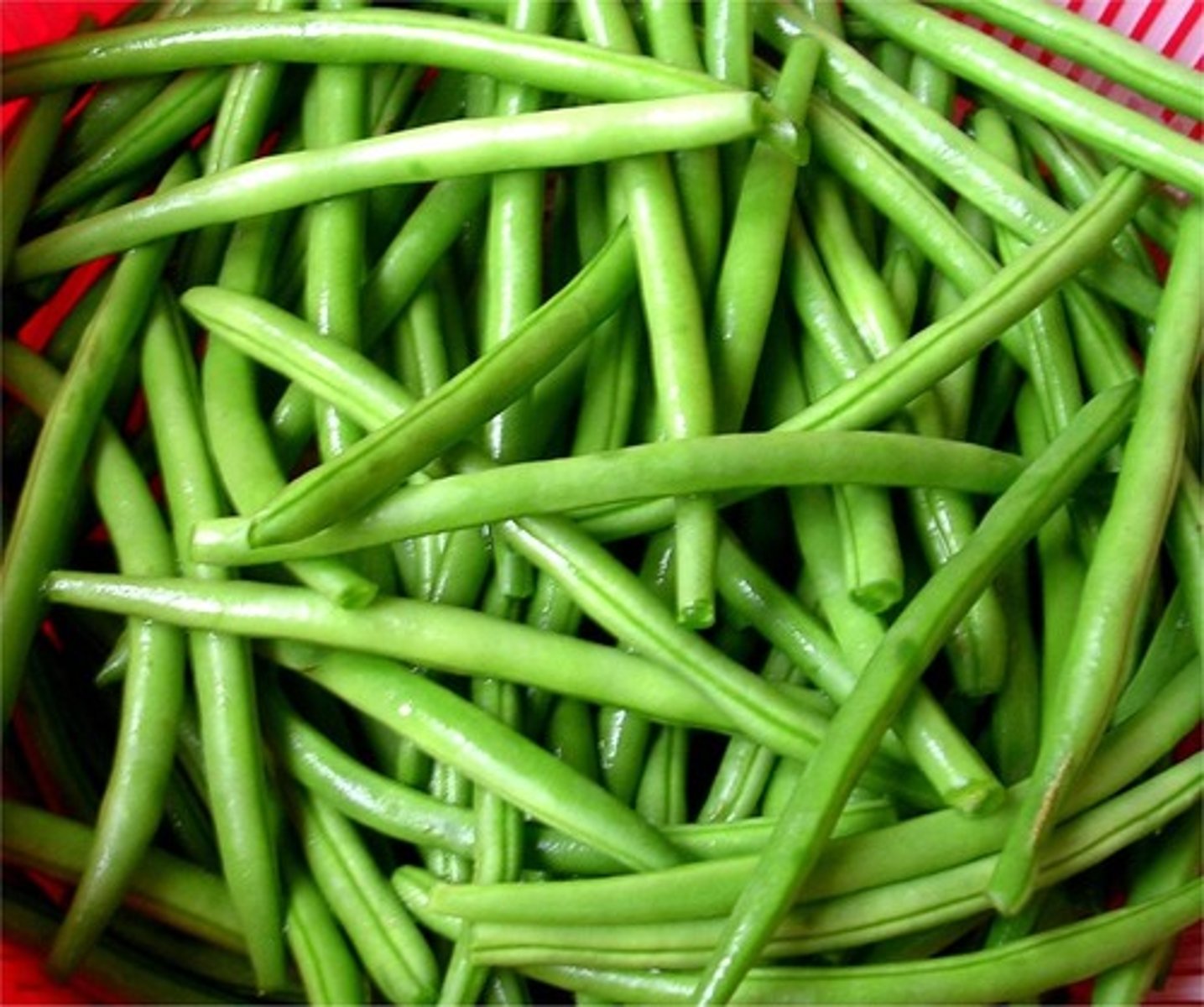 <p>green beans</p>