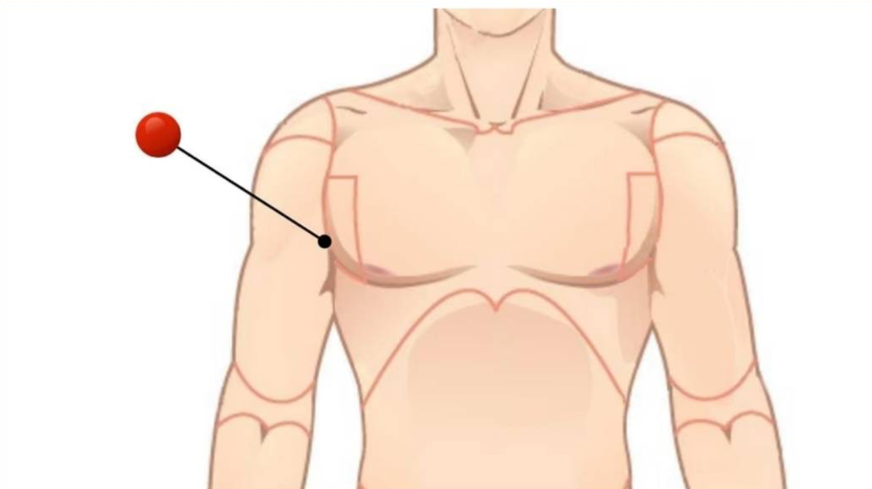 <p>Armpits </p>
