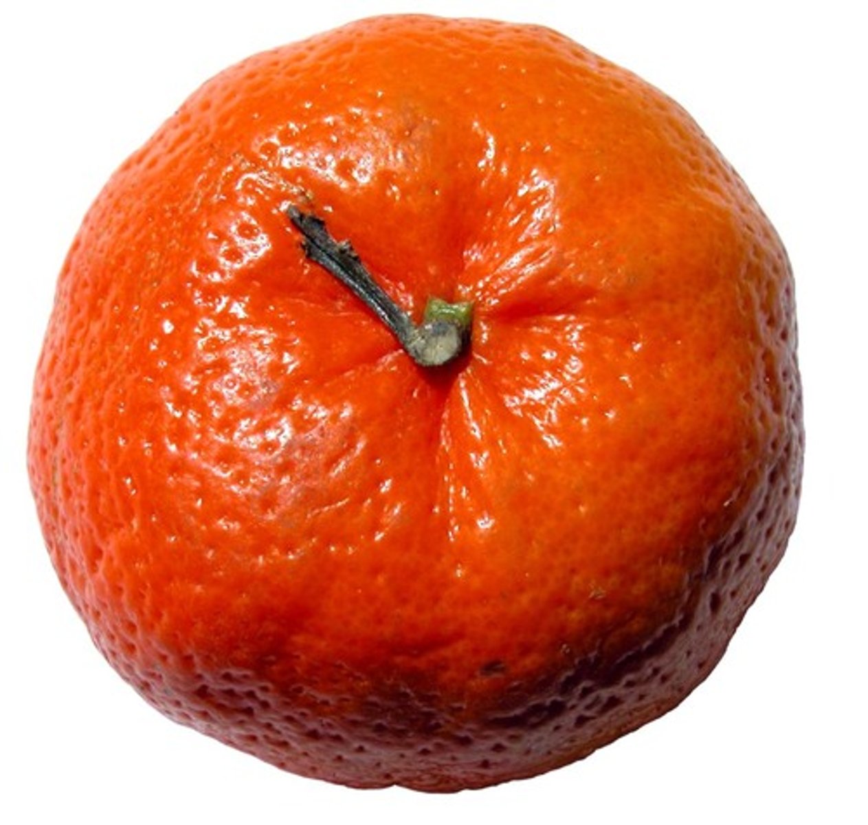 <p>quả quýt</p>